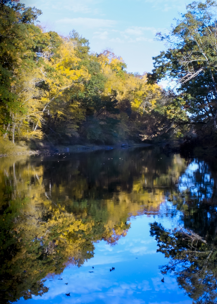 Farmington River in Fall by Pamela Carter