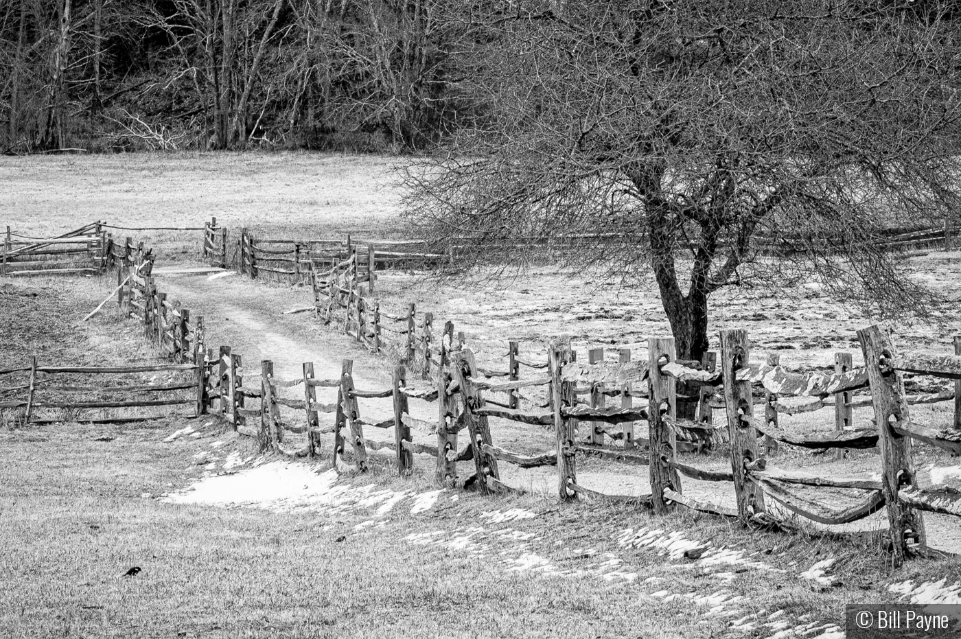 Fields in Winter by Bill Payne