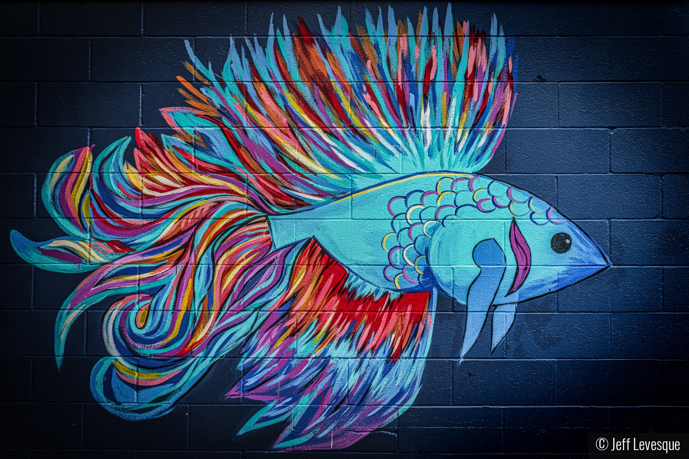 Fish Market Mural by Jeff Levesque