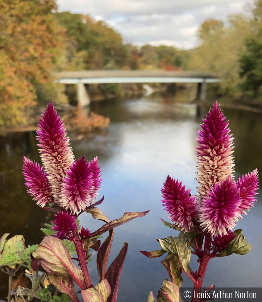 Flower Bridge In Autumn by Louis Arthur Norton
