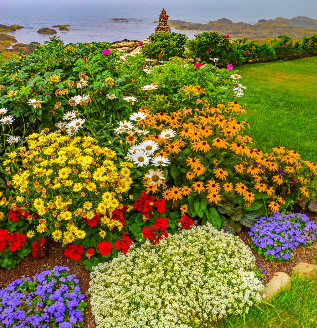 Flower Garden In Foggy Coastal Maine by Lou Norton