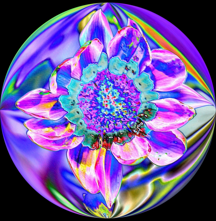 Flower in Globe by Charles Hall