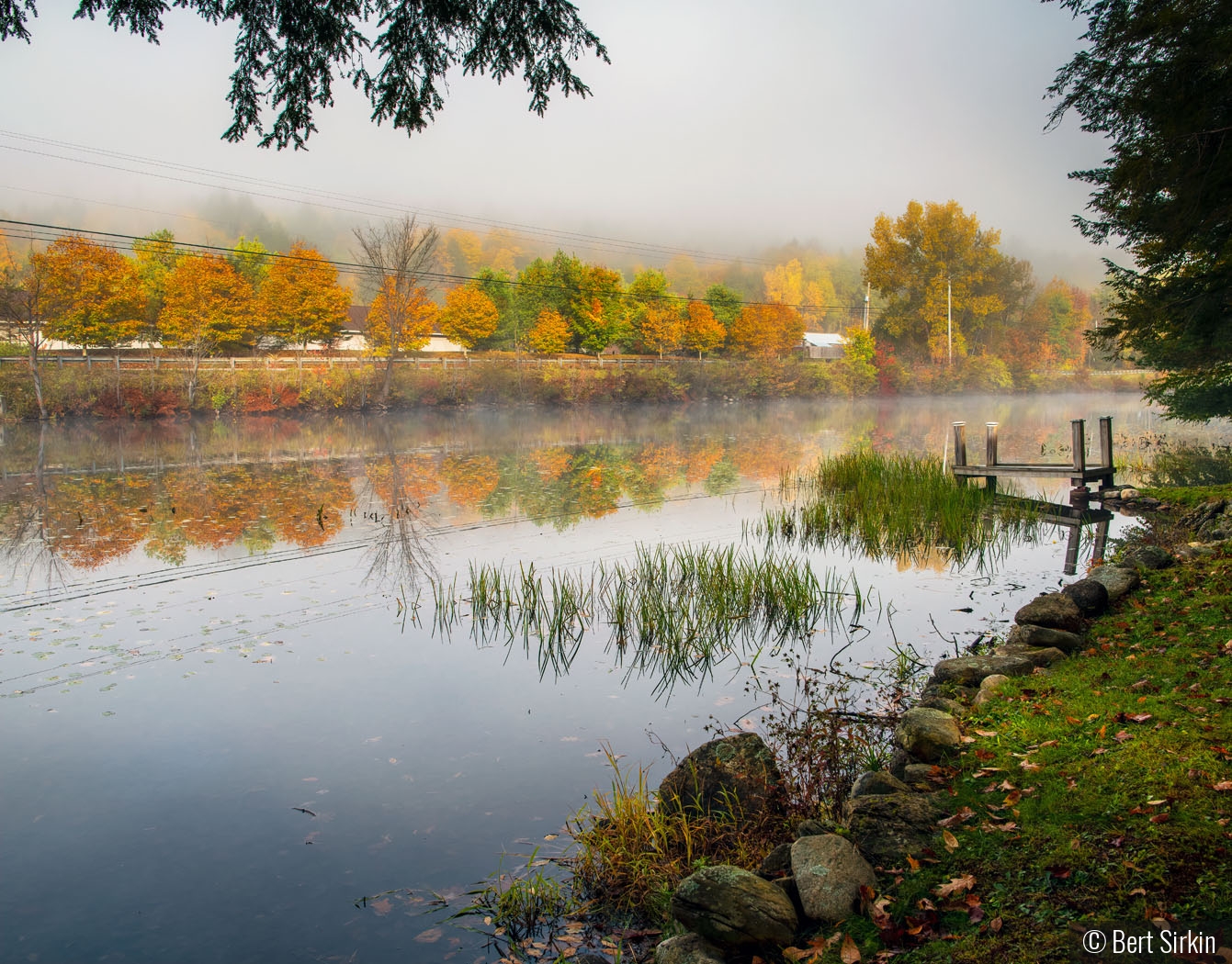 Foggy Fall Day by Bert Sirkin