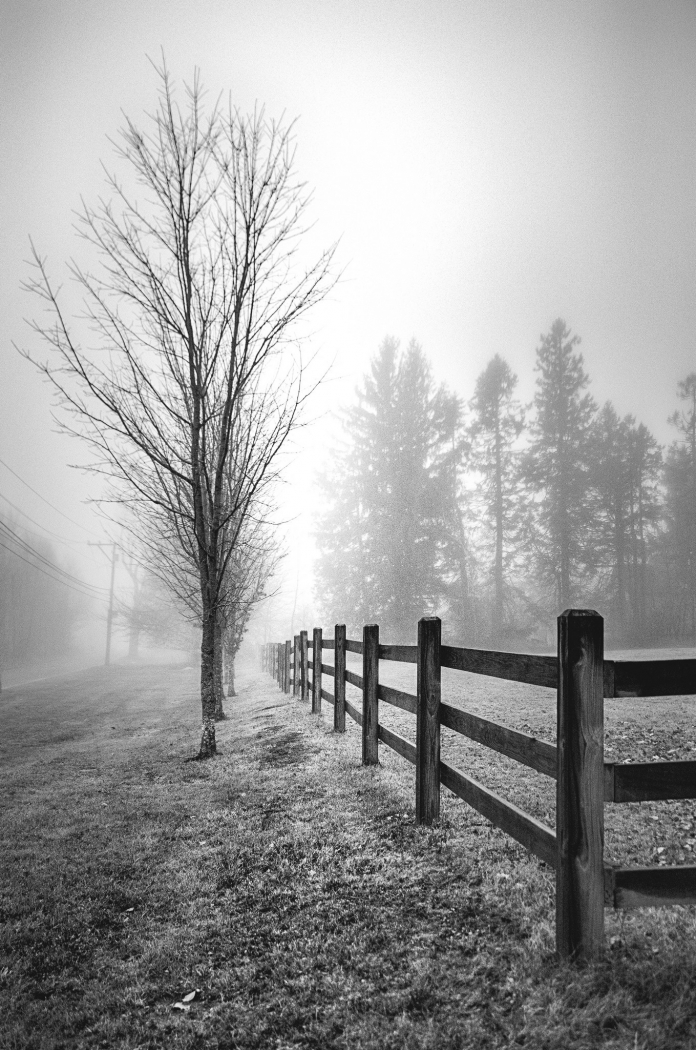 foggy morn by John Parisi