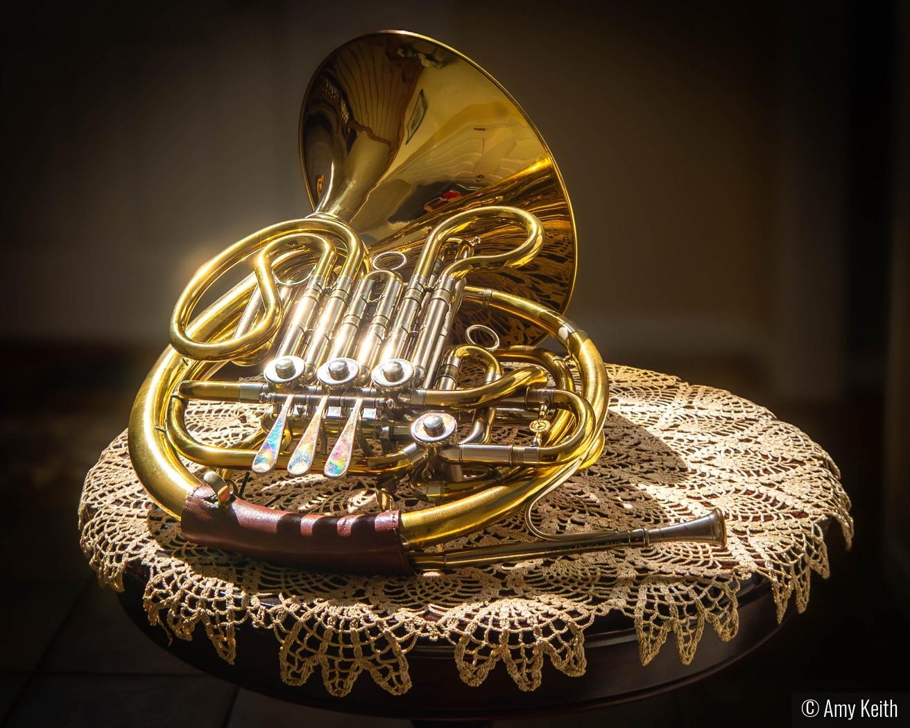 French Horn in the Golden Hour by Amy Keith