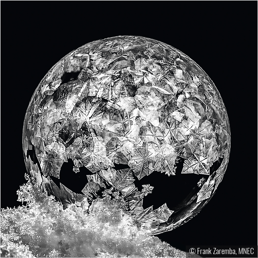 Frozen Bubble by Frank Zaremba, MNEC
