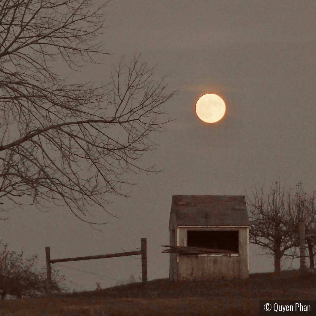 Full Moon Over Auer Farm by Quyen Phan