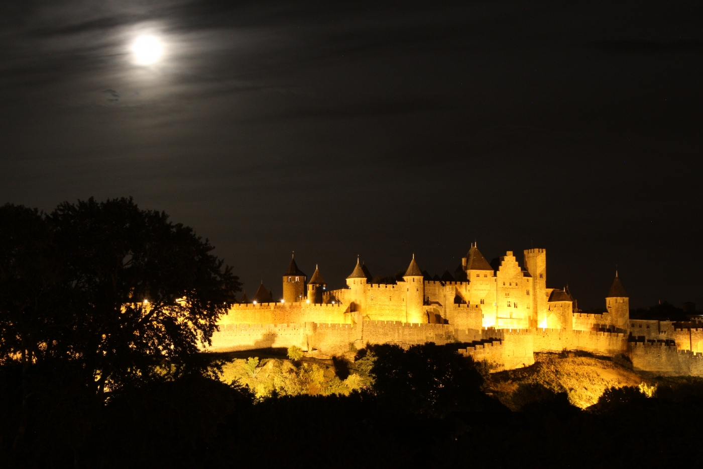 Full Moon Over Carcassonne by Barbara Steele