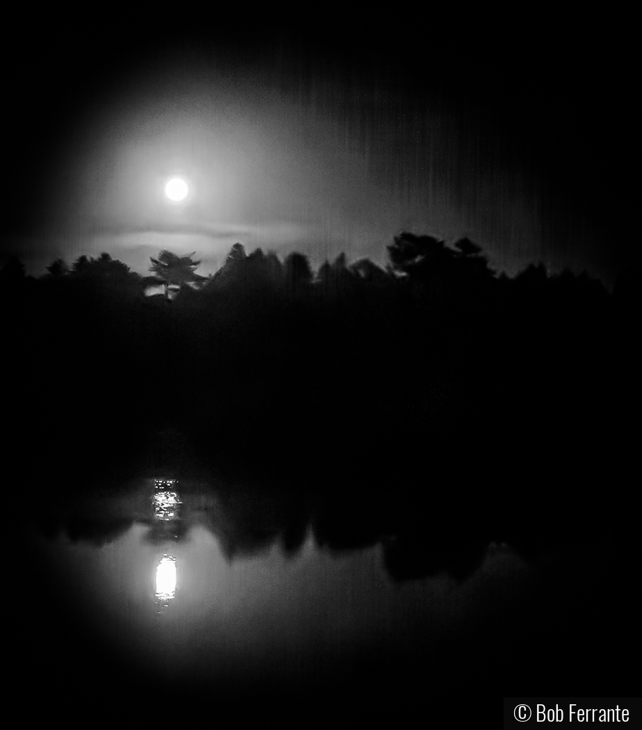 Full moon rising over Back Cove by Bob Ferrante