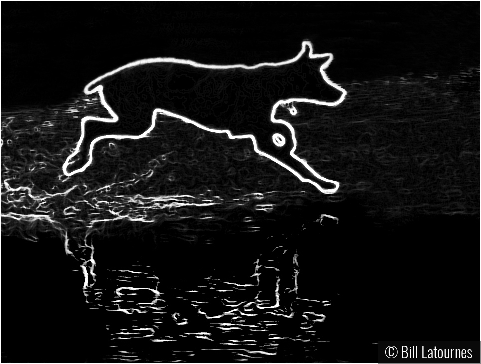 Ghost Dog Running On Water by Bill Latournes