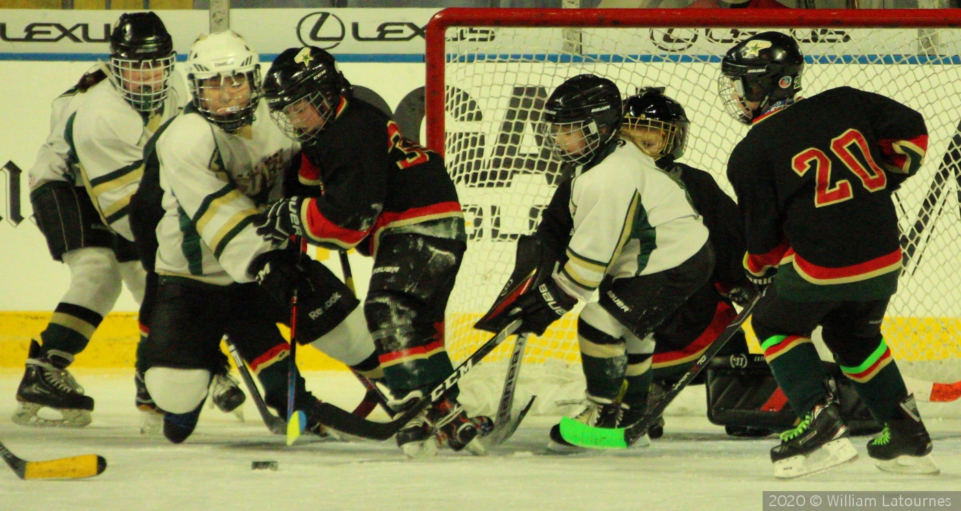 Going After The Puck by William Latournes