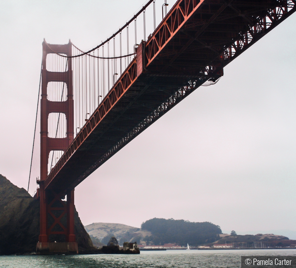 Golden Gate from below by Pamela Carter