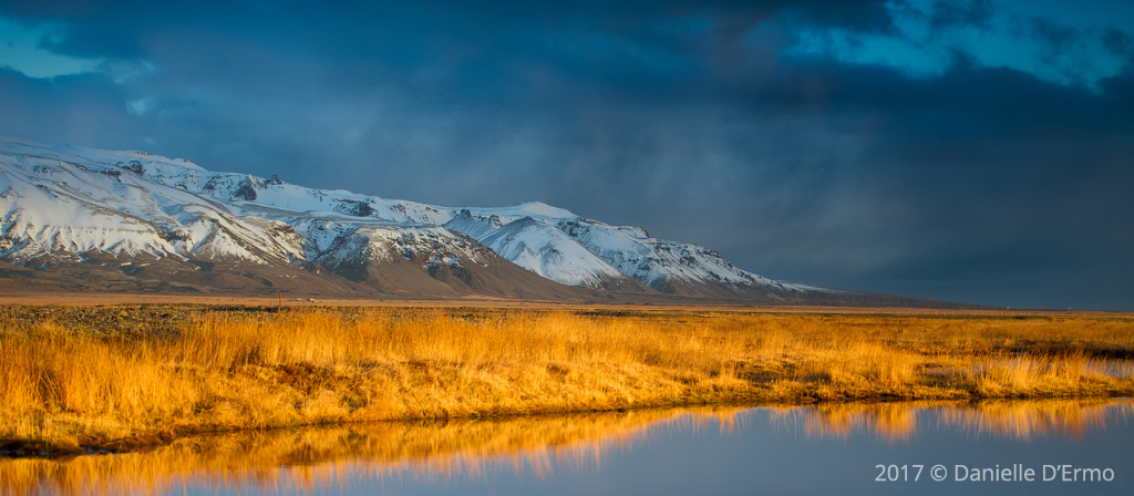 Golden Hour in Iceland by Danielle D'Ermo