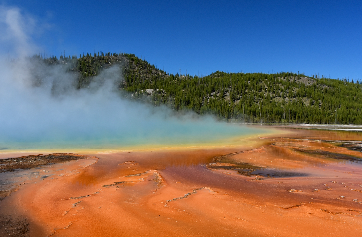 Grand Prismatic Spring, Yellowstone by Susan Case