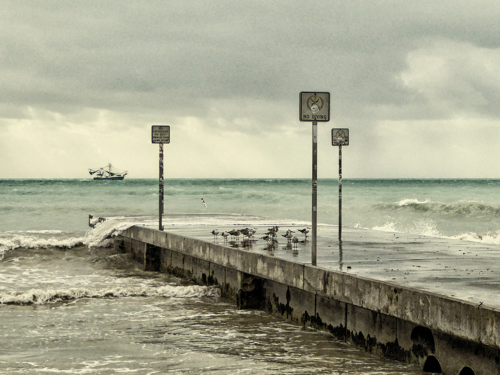 Grey Day in the Keys by Donna Griffiths
