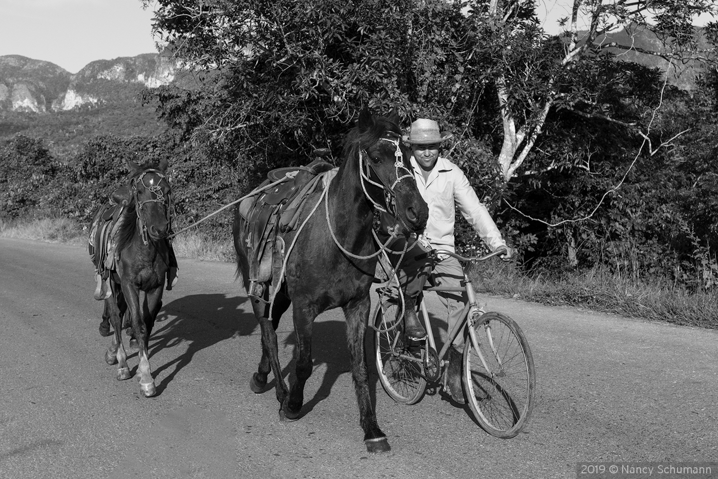 Heading to work, Vinales, Cuba by Nancy Schumann