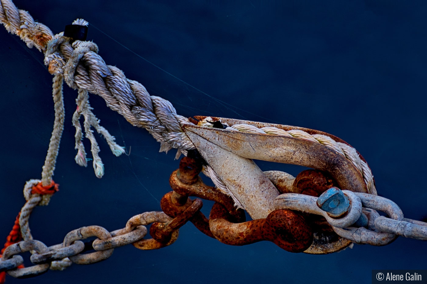 Hook, Line & Chain by Alene Galin