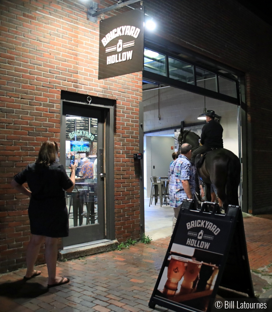 Horse Walks Into A Bar by Bill Latournes