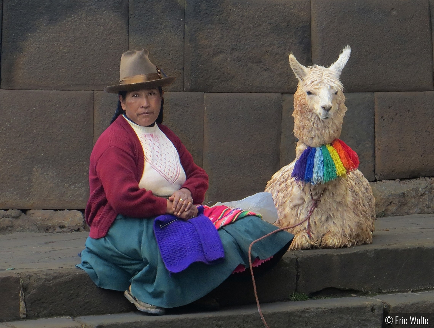 I tell my llama to rock the colors and just own it baby by Eric Wolfe