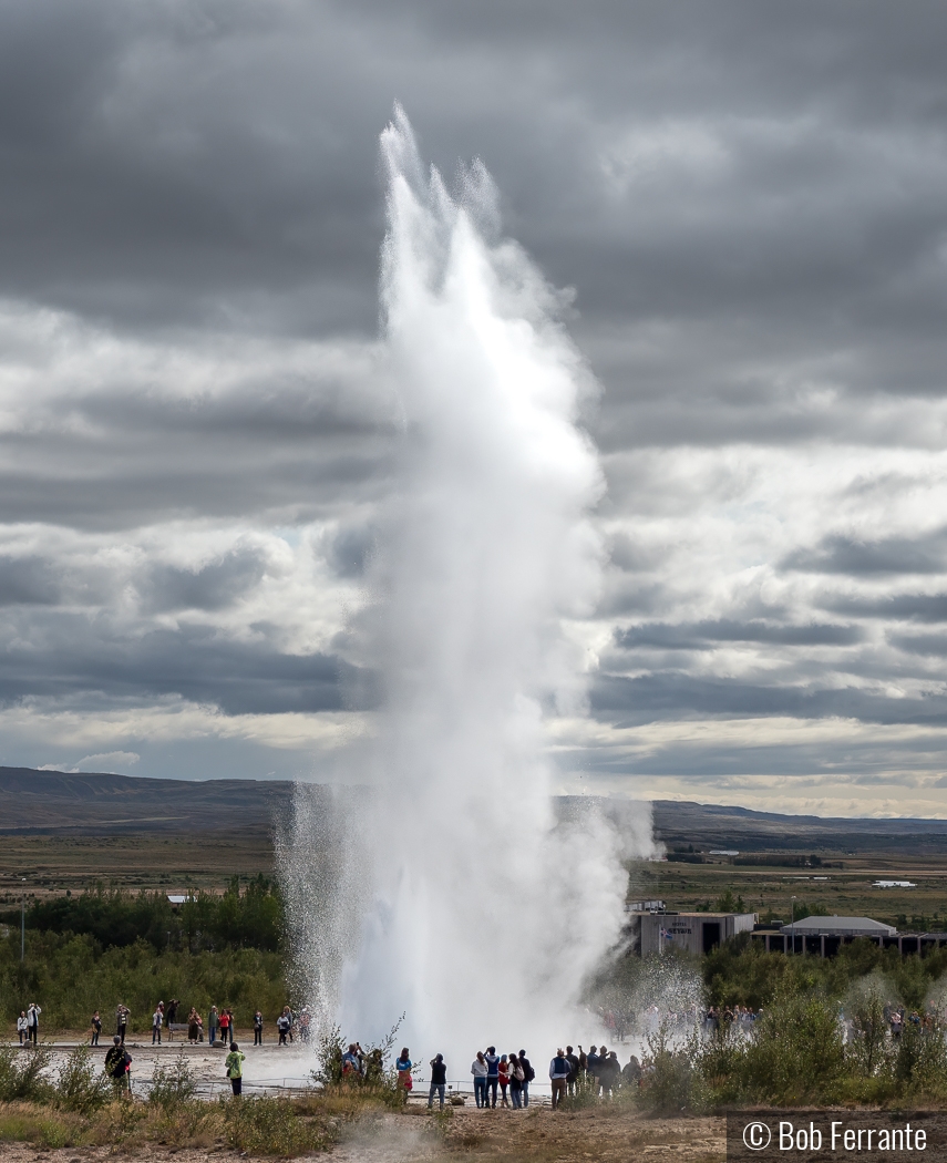 Icelandic Crowd Pleaser by Bob Ferrante