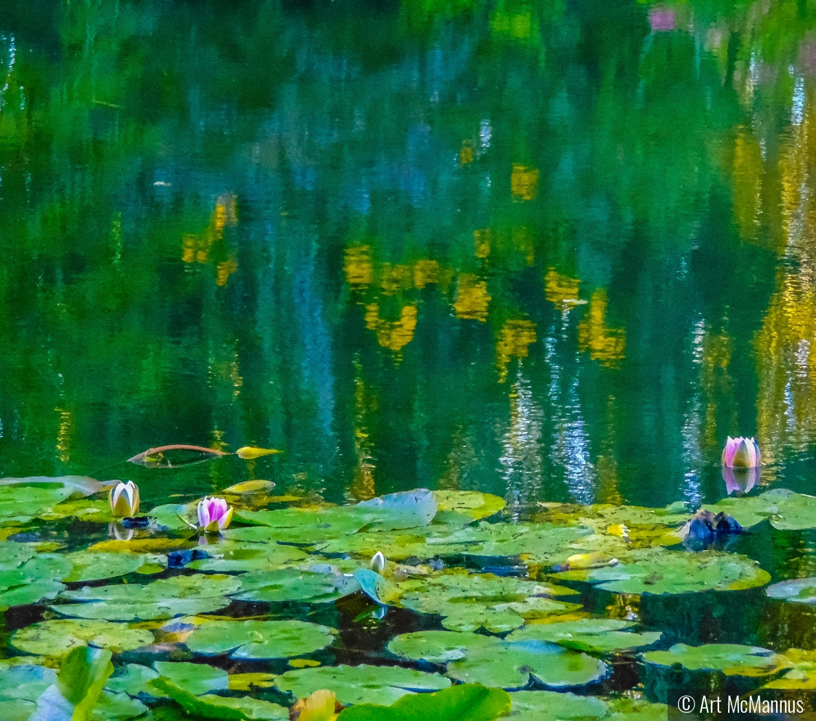 Impressionism by Nature by Art McMannus