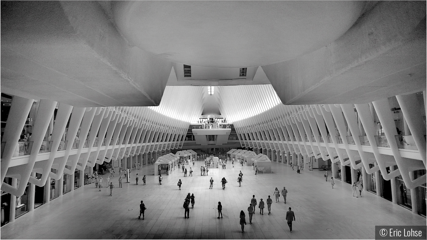 Inside the Occulus by Eric Lohse