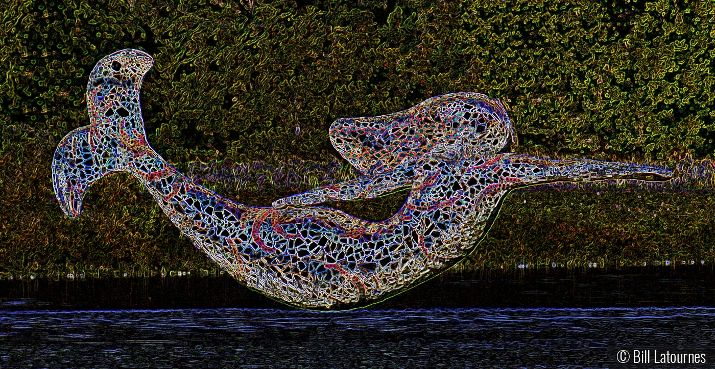 Jumping Mermaid by Bill Latournes