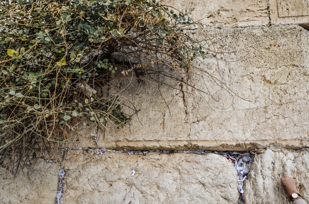 Leaving A Message To God At The Wailing Wall by Lou Norton