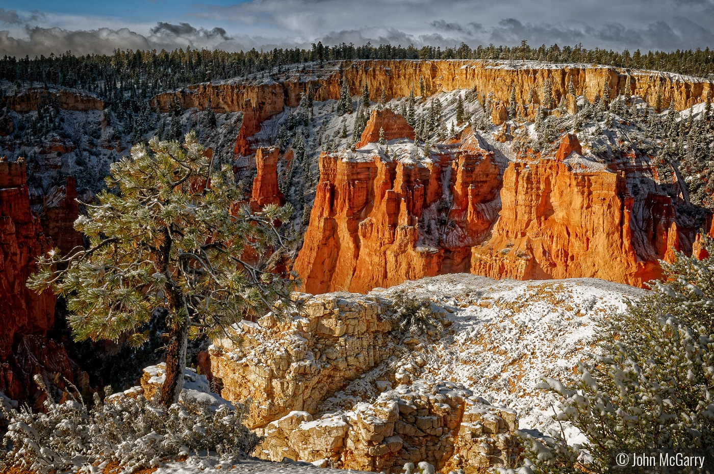 Light Snow, Pine Tree and Bryce Rock Formations by John McGarry
