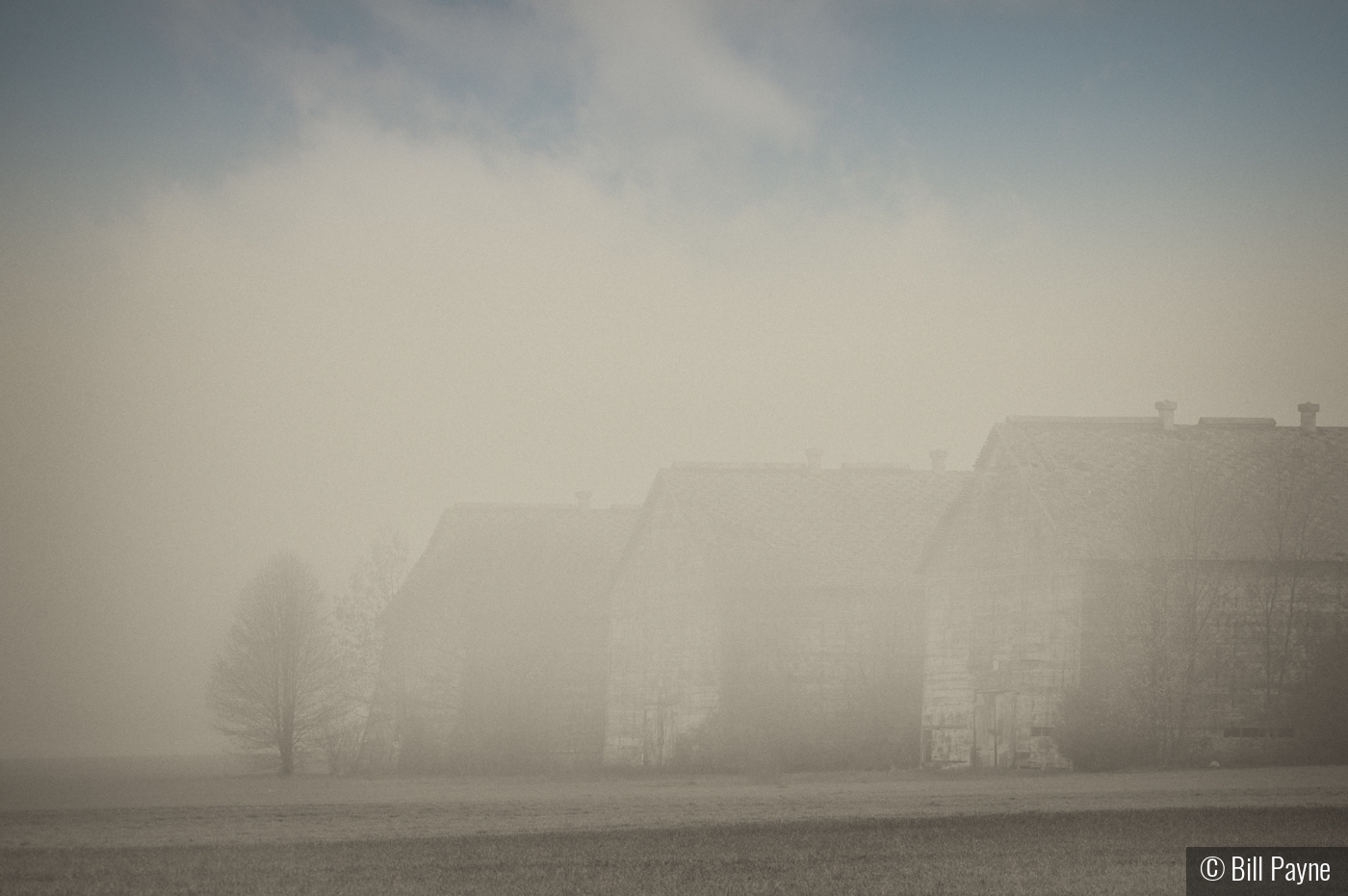 Low Fog by Bill Payne