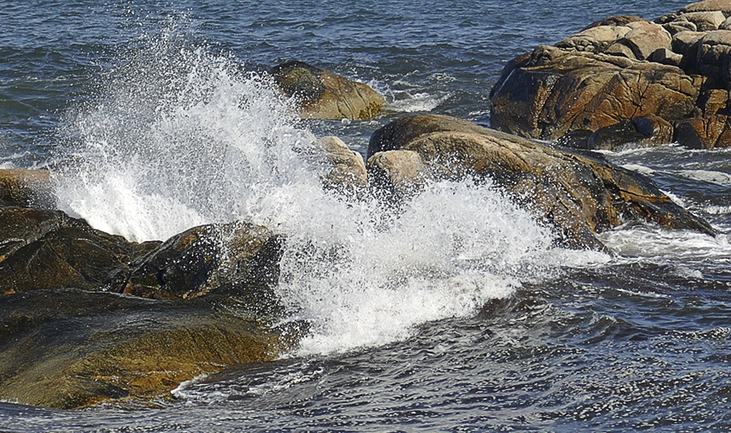 Maine Cliff Walk Splash by Bruce Metzger