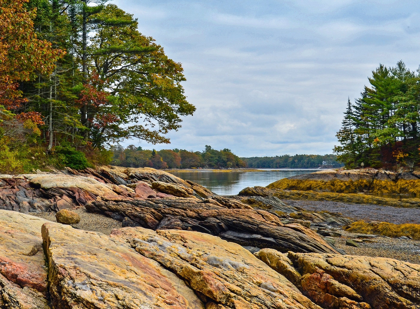 Maine's Wolf Neck State Park by Lou Norton
