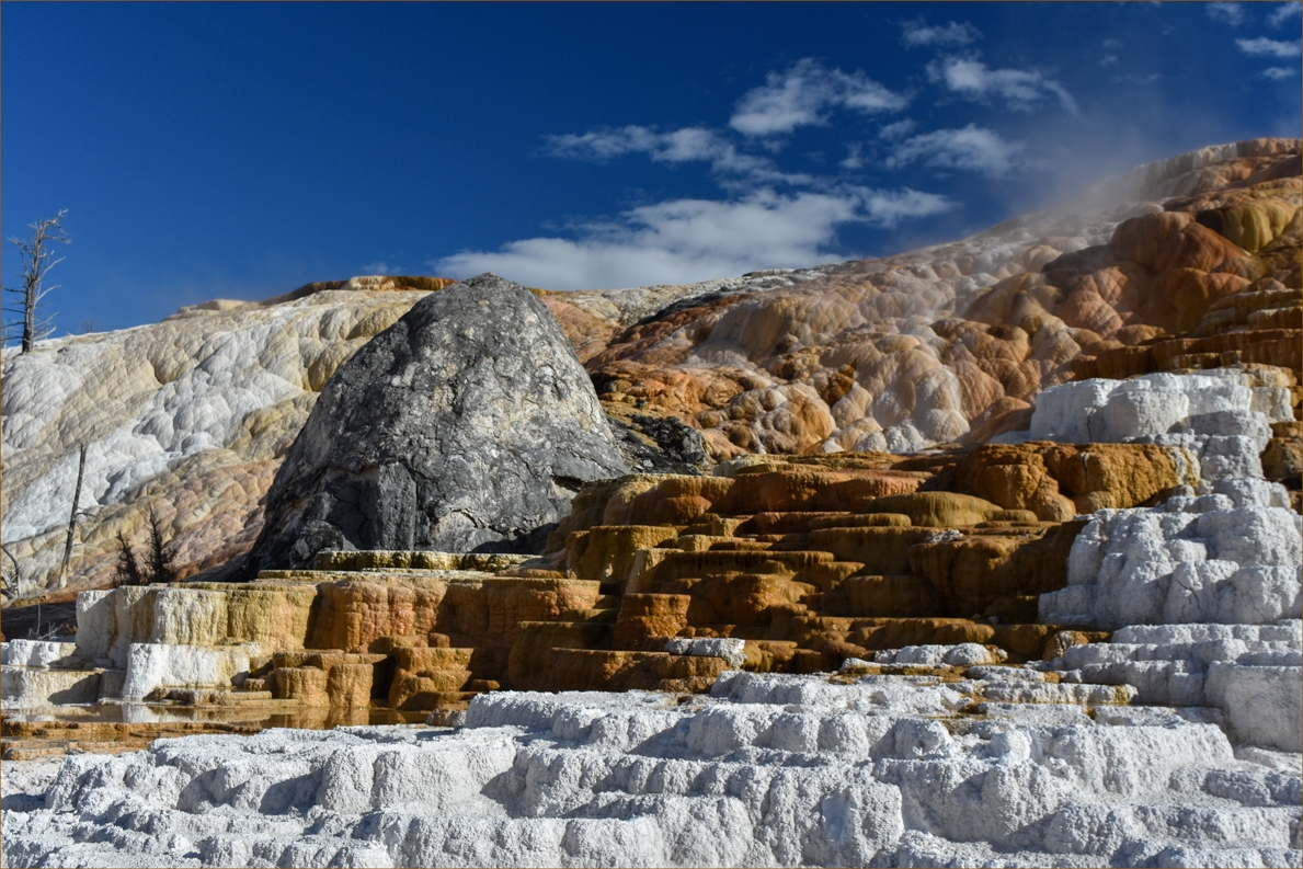 Mammoth Hot Springs by Susan Case