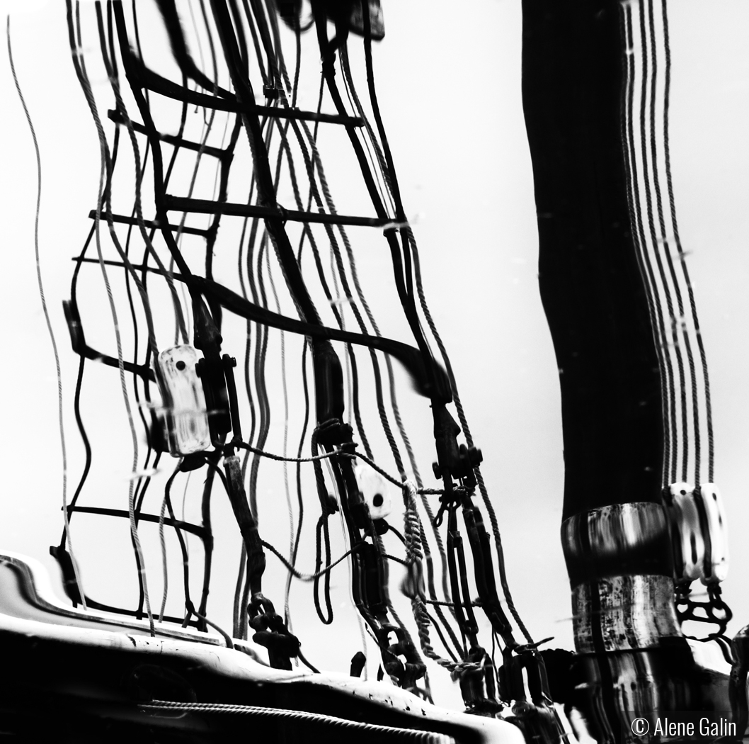 Maritime Shadows by Alene Galin