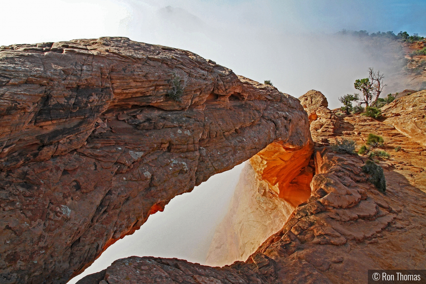 Mesa Arch Conyonlands National Park Utah by Ron Thomas