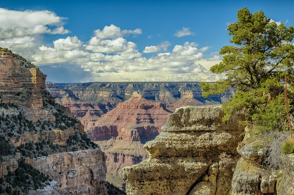 Mid Day at the Grand Canyon by Bill Payne