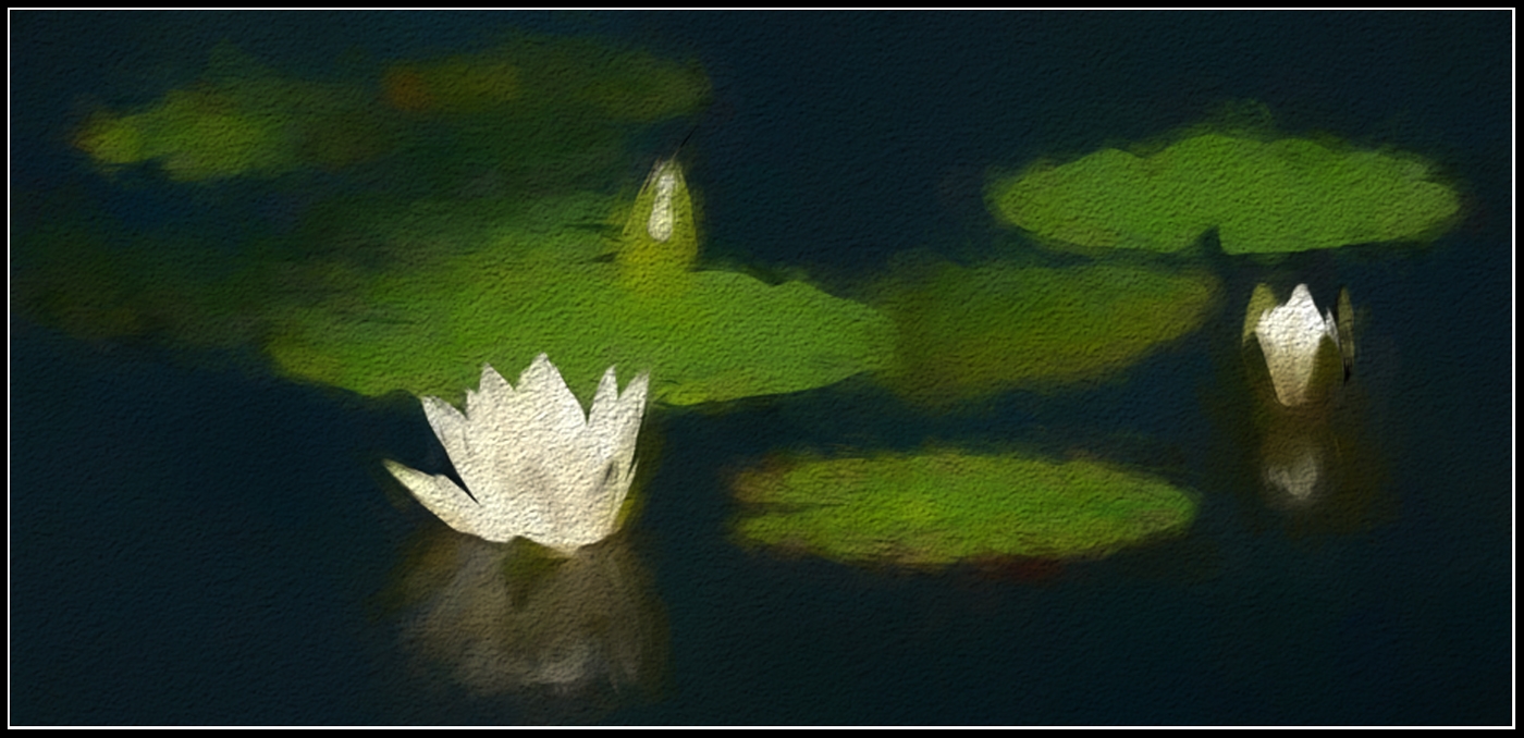 Monet's Waterlillies by Bruce Metzger