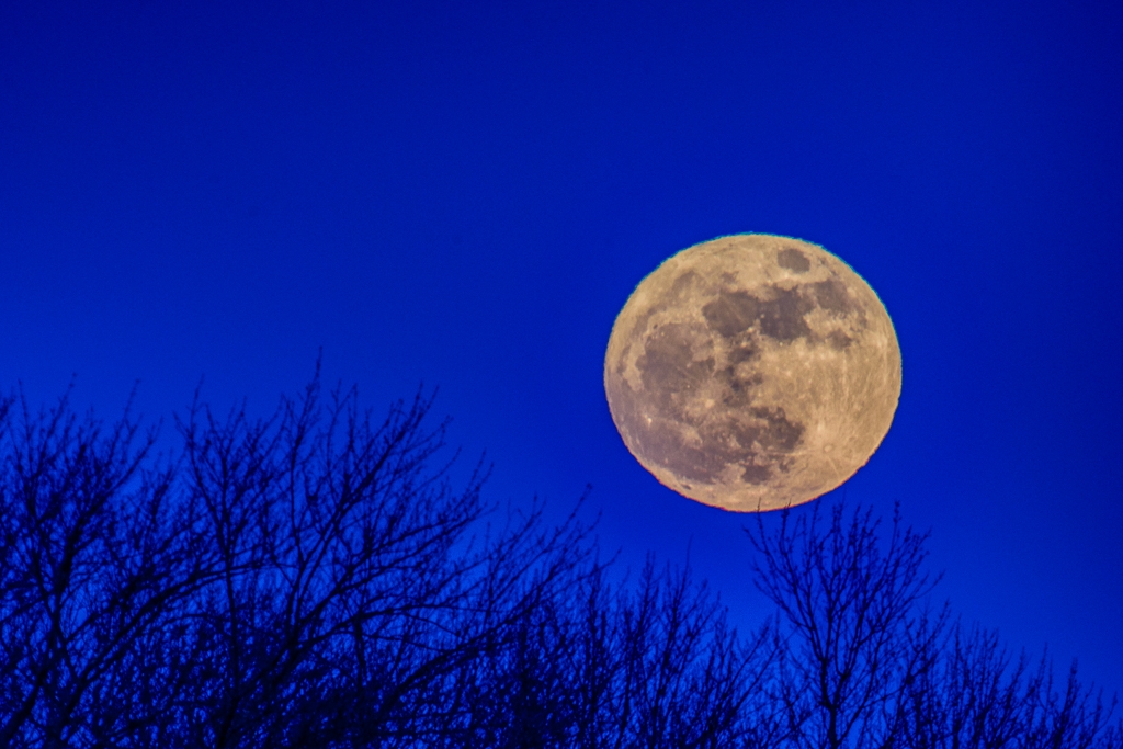 Moon across the Evening Sky by Aadarsh Gopalakrishna