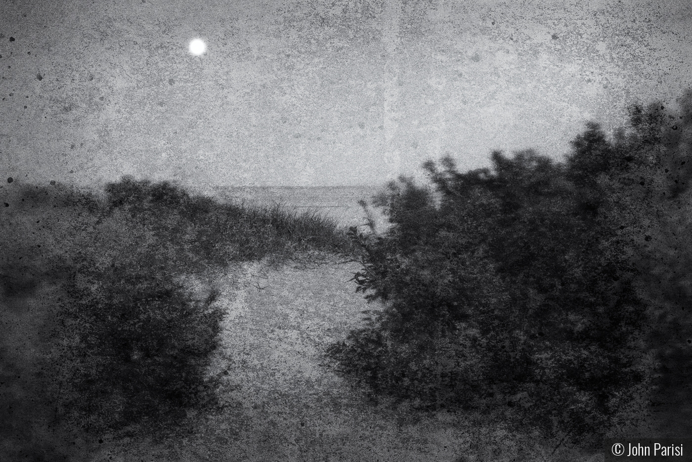 moonlight by John Parisi