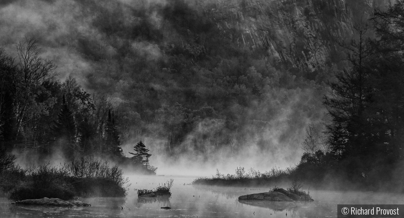 morning fog by Richard Provost