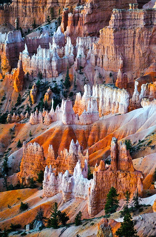 Morning in Bryce Canyon by Donna JW Griffiths