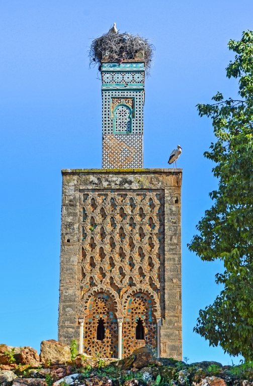 Moroccan Minaret And Stork Nest by Lou Norton