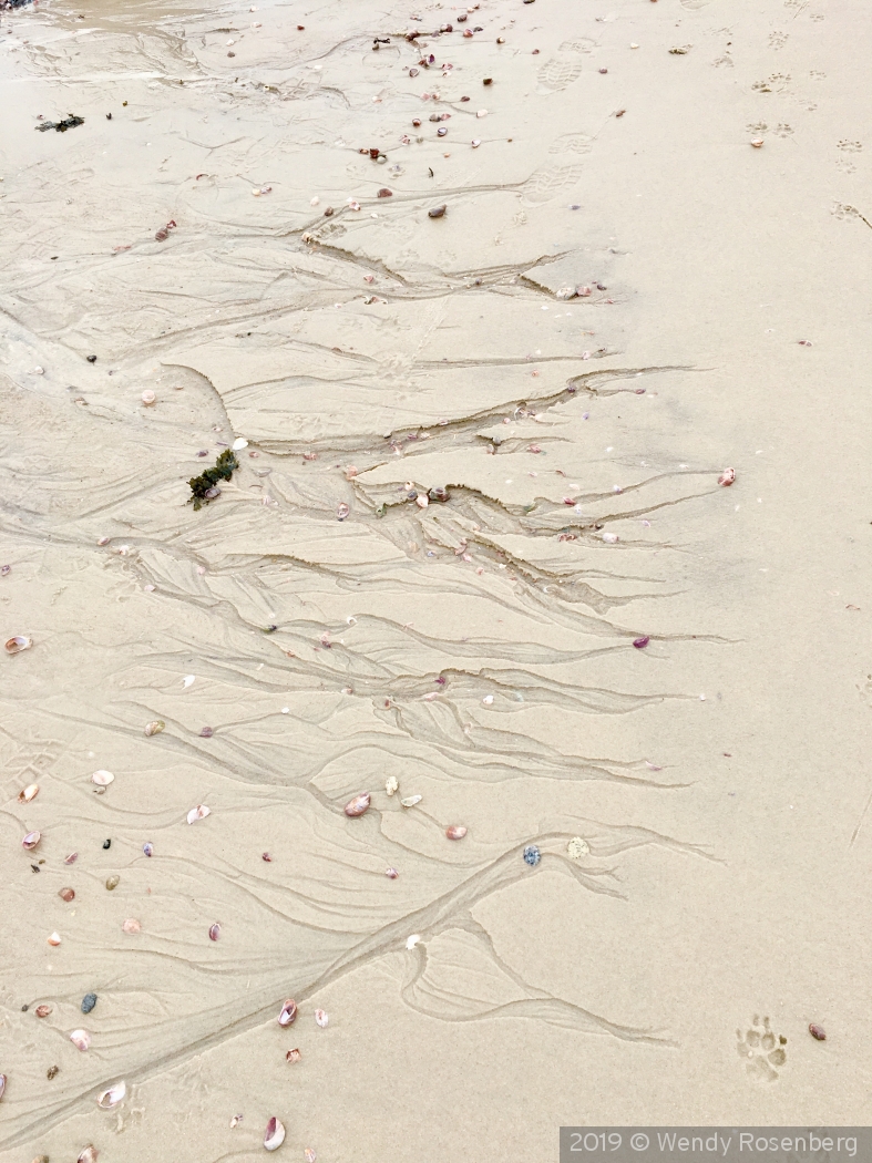 nature artwork in the sand by Wendy Rosenberg