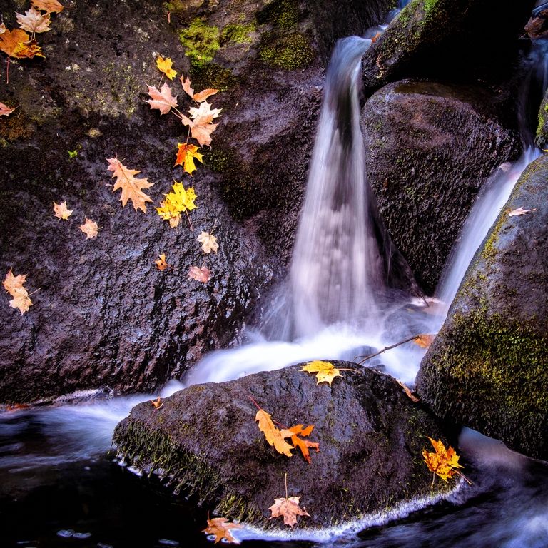 Negro Hill Brook Falls by Bill Payne