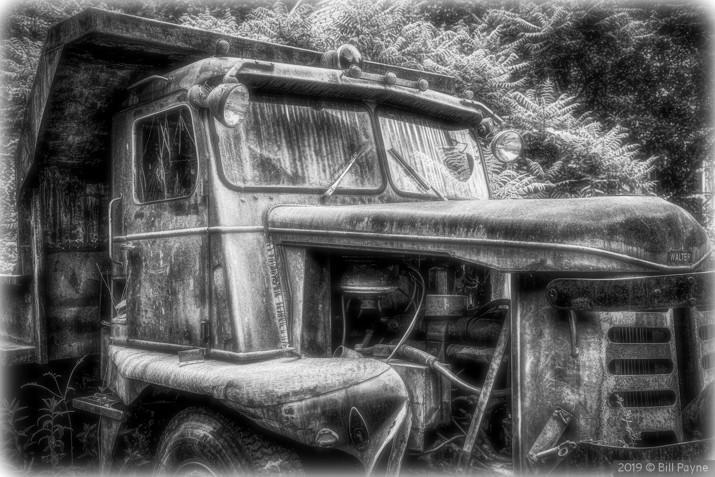 Old and crusty by Bill Payne