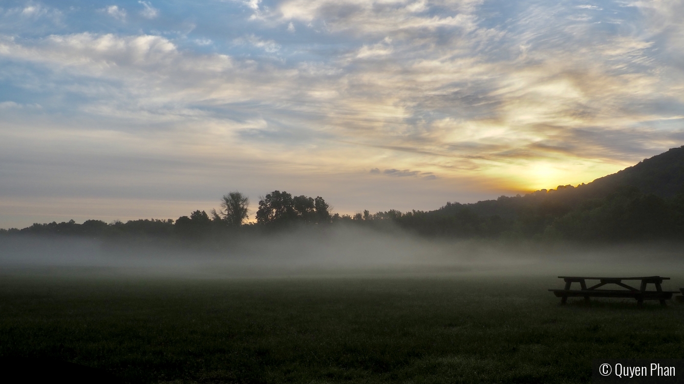 One Misty Morning by Quyen Phan