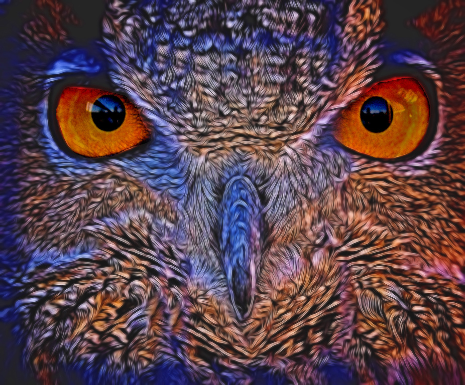 Owl by Richard Busch