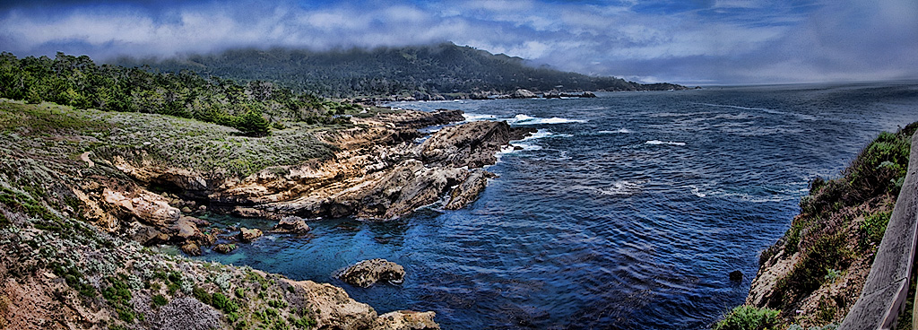 Point Lobos South of Carmel CA by Richard Busch