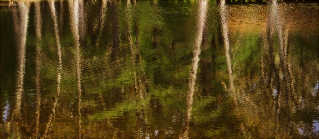 Pond Reflections by Alene Galin