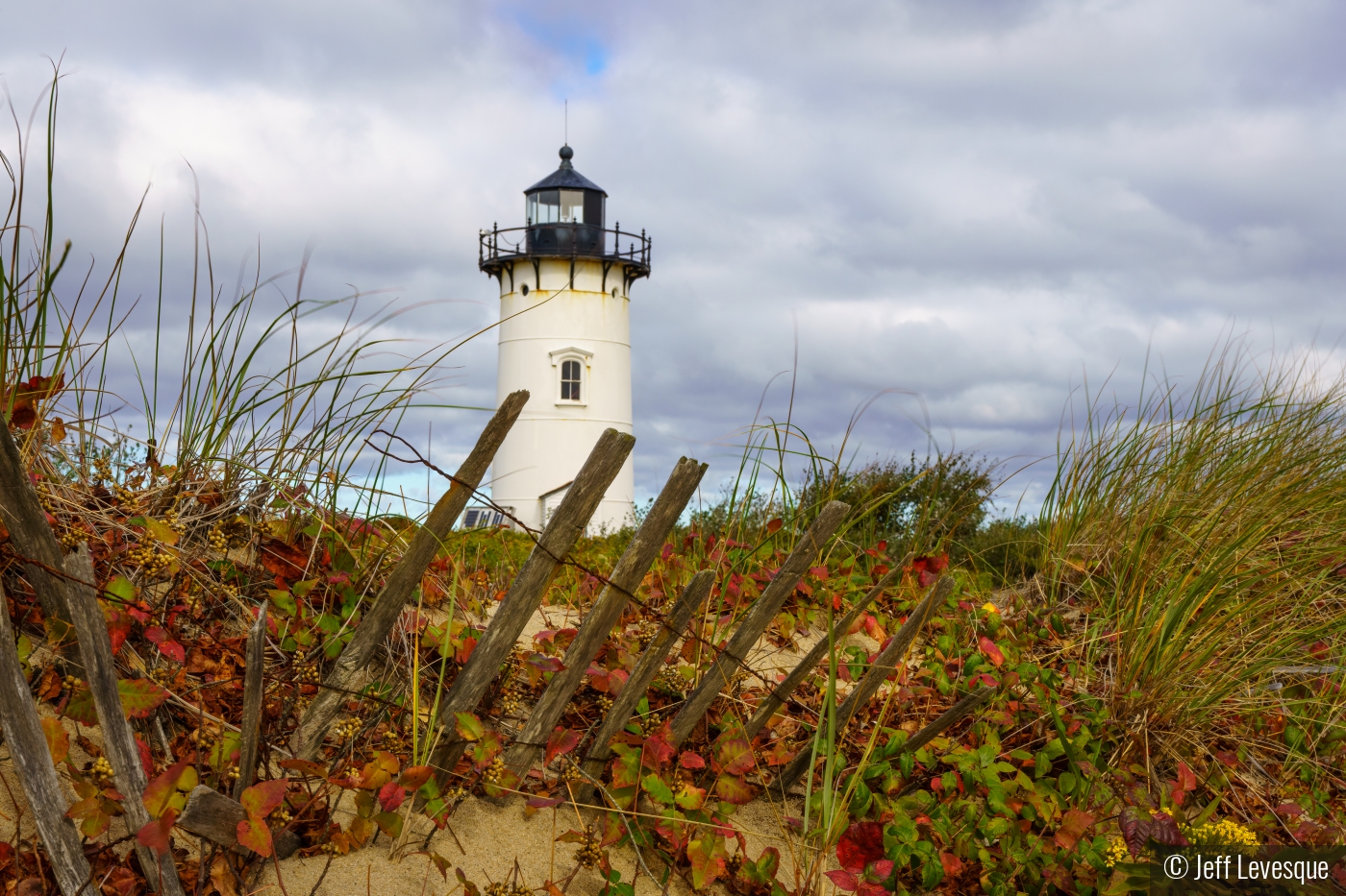 Race Point Lighthouse by Jeff Levesque